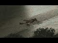 Music That Could Help Fill A Void In Your Heart