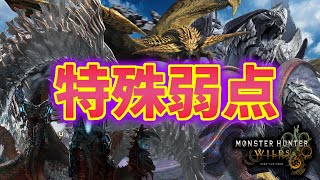 特殊弱点(特殊傷)って知ってる？人気モンスター6種の弱点を解説します【モンハンワイルズ】