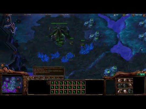 IdrA(Z) vs IMMVP(T) - 2 / 3