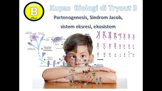Pembahasan Soal Biologi sesuai kisi - kisi UP  / pretest IPA SMP