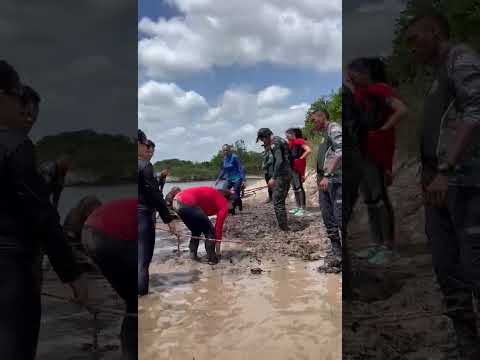trilha da capivara em mirinzal Maranhão