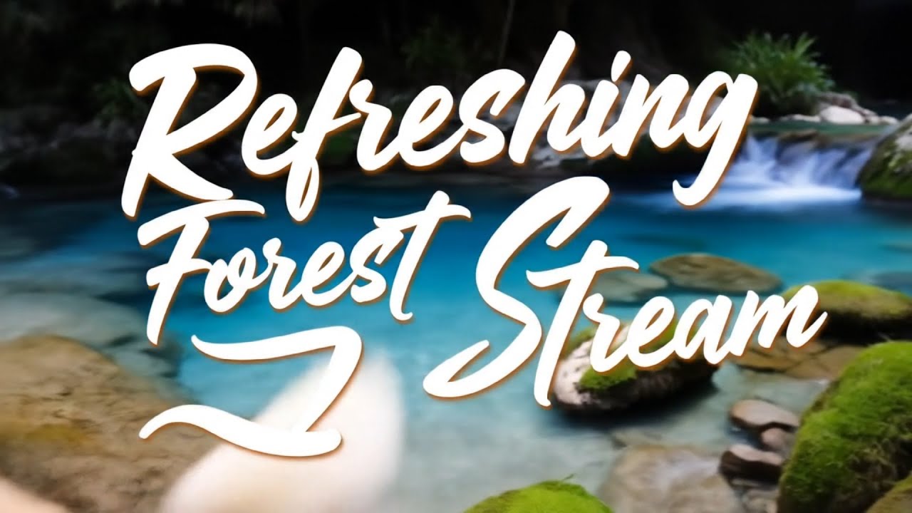 Refreshing Forest Stream for Rest and Renewal🌿Flowing Water Ambience