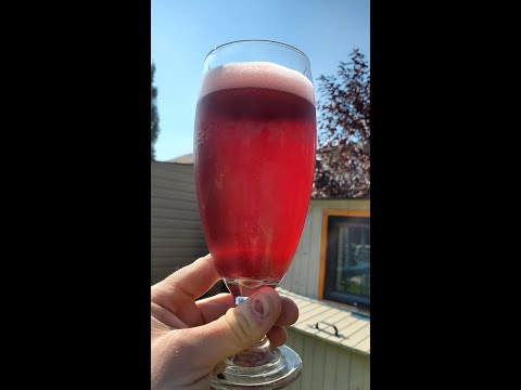 Brewing a Black Currant Saison