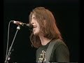 Foo Fighters - For All the Cows (Phoenix Festival 1996)