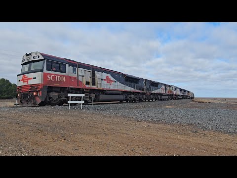 1PM9 SCT up "Dark Ghost" (SCT SCT SCT SCT), Forrestfield to Laverton, 1035, 18/6/25, Dooen VIC