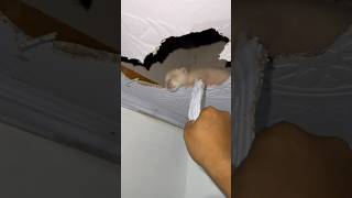 Download lagu KUCING BOCIL LAHIRAN DI ATAS RUMAH #shorts #funny #viralvideo mp3