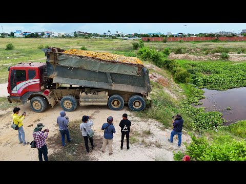 Start New Landfill Site! Be Careful! By Dump Truck 25.5Ton & Dozer PUSHING STONE SOIL into Flooded!