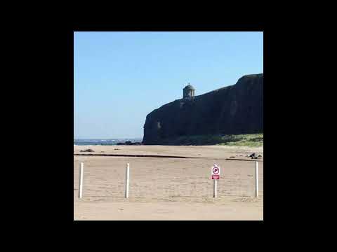 [FREE] nothing,nowhere. x skele x guardin x killedmyself x sendflowrs type beat - I can change.