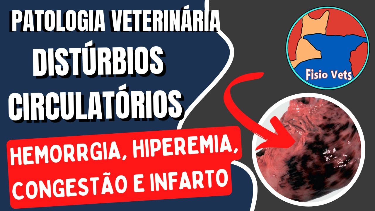 Hemorragia, hiperemia, congestão, isquemia e infarto - Patologia geral - Medicina veterinária