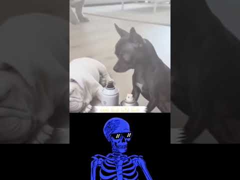 #edit