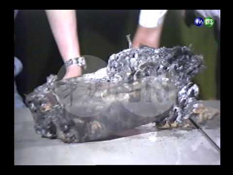 遠航失事飛機打開黑盒子記者會