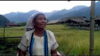 TANI ETHNIC -Jajinja -west siang-galo tribe