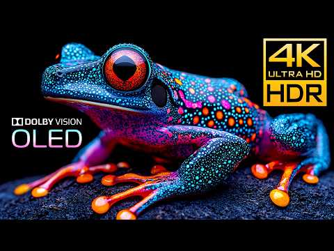 OLED TEST HDR 4K 120FPS DOLBY VISION 🏞 4K / 8K Monitor Test Video #BGM