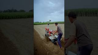 Download lagu proses pembuatan bedengan cabe mp3 Download lagu proses pembuatan bedengan cabe mp3