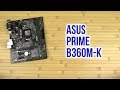 ASUS PRIME B360M-K - відео