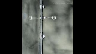 THE CHURCH - LAUREL CANYON