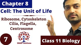 Chapter 8 | Cell: The Unit of Life |Ribosome Cilia Flagella Centriole | Class 11 RBSE NCERT | Part-7