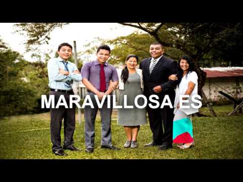 Silvio Solarte - Nunca Imaginé | Letra |