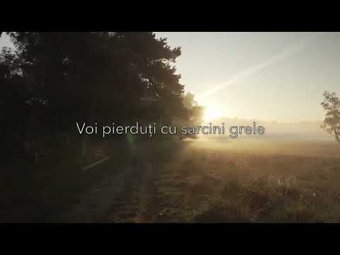 Ionut Pop - Voi pierduti cu sarcini grele