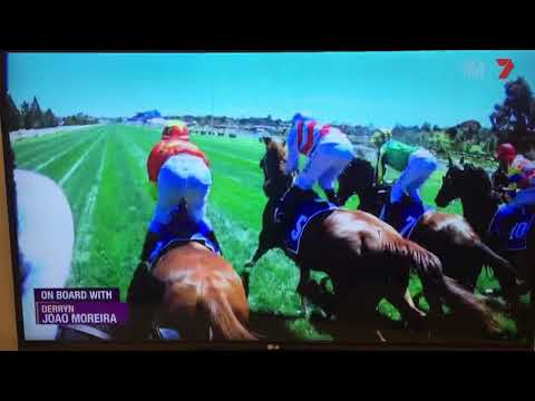 2016 Coolmore Stakes - Flying Artie