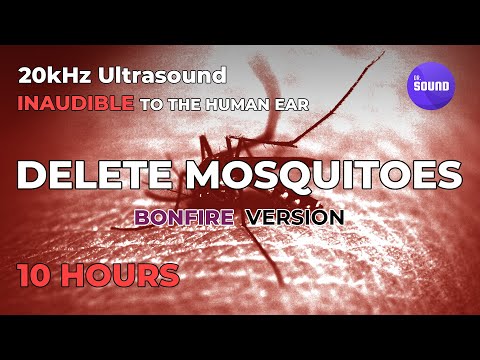 Bonfire + 20kHz Ultrasound = Mosquitoless Deep Sleep [ ultrasonic mosquito repellent sound ]