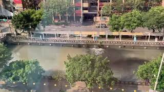 [問題] 田寮河又再被偷排廢水了