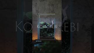 【AI MUSIC】Komorebi│耳が森林浴する音 #terrarium #shorts