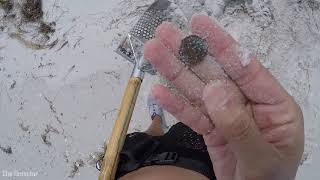 Metal Detecting Coin Island w/Pirate Pro