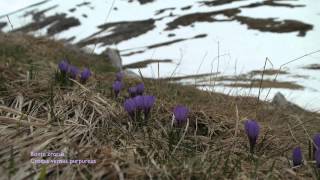 preview picture of video '2014 05 01 Orpierre 4 Col du Festre'