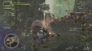 今日から毎日モンハン配信part4
