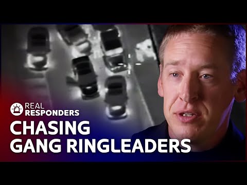 Chasing Down A Gang Of Thieves From Helicopters | Sky Cops | Real Responders