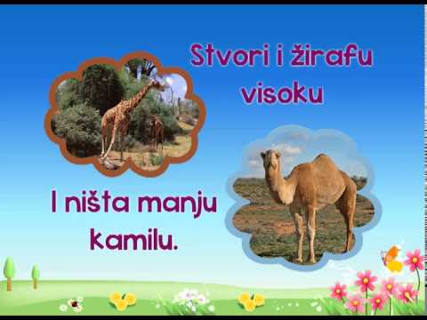 "Isus stvori sve",  DEDUM 2013