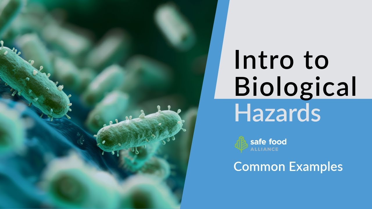 HACCP 101: Common Examples of Biological Hazards