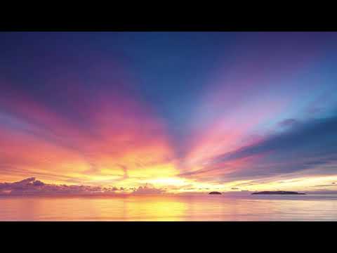 Down for the long run by  Sam Kramer