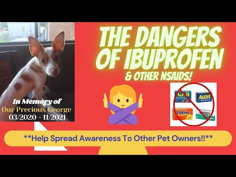 PLEASE SHARE WITH PET OWNERS! The Dangers of Ibuprofen & Other NSAIDs!