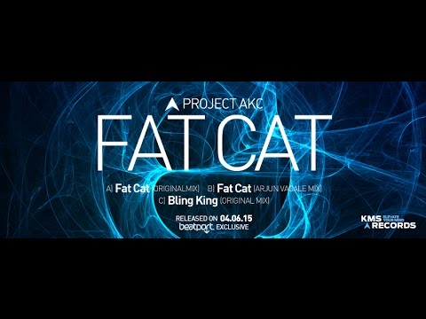 KMS 197 FAT CAT - Project AKC