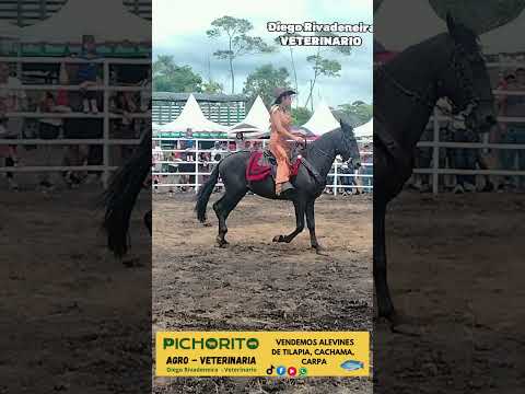 Feria de Proaño , en Morona Santiago Muy bonita  #Proaño