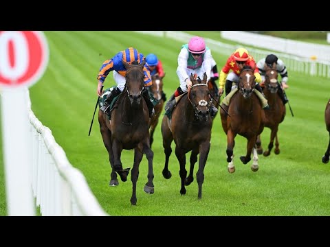 What a race! WHIRL beats Kalpana in EPIC Pretty Polly | Racing TV