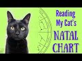 Reading My Cat S Natal Chart