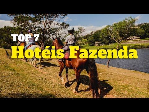 Vídeo: Pesquisar Hotéis: dúvidas e respostas para reservas