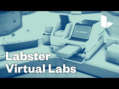 Virtual Labs for Interactive Science