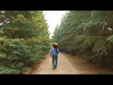 Edward Burton - Angel (Official Video)