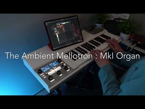 The Ambient Mellotron: Mellotron M4000D MkI Organ Improvisation
