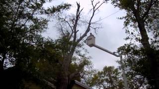 preview picture of video 'Tree Falls On House, Taylor Tree Co. Bay St. Louis, Mississippi'