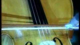 Chasing Pandora - Divine