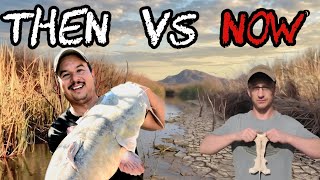 This River Was Full Of Life And Now It's GONE!!! The Muddy River Then And Now