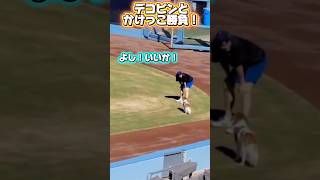 【オフシーズン】デコピンとかけっこ勝負するドジャース大谷翔平！BTSファンが真美子さんに苦言！ある物が話題に