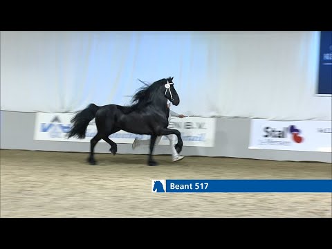 Beant 517 wint rubriek 17