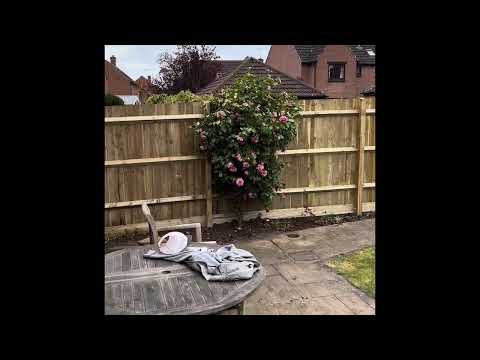 Bosley's Fencing and Gardening Maintenance video.