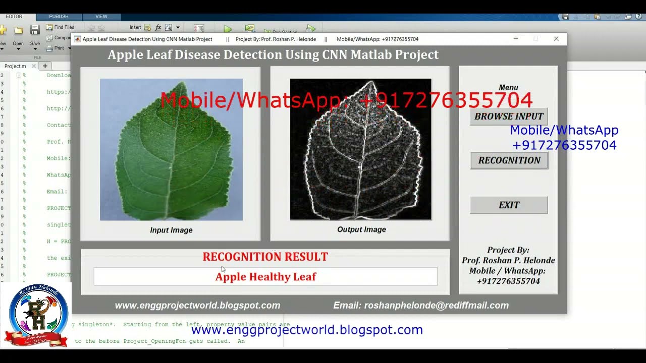 Apple Plant Leaf Disease Classification Using CNN With Source Code Apple Leaf Disease Detect Matlab